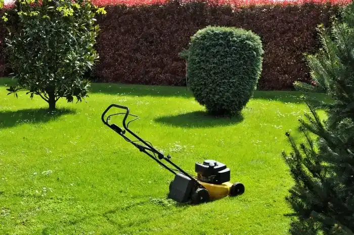 Professional Landscaper
